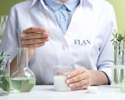 elan cosmetics lab elan cosmetics lab